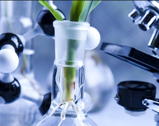 Medical-Sciences